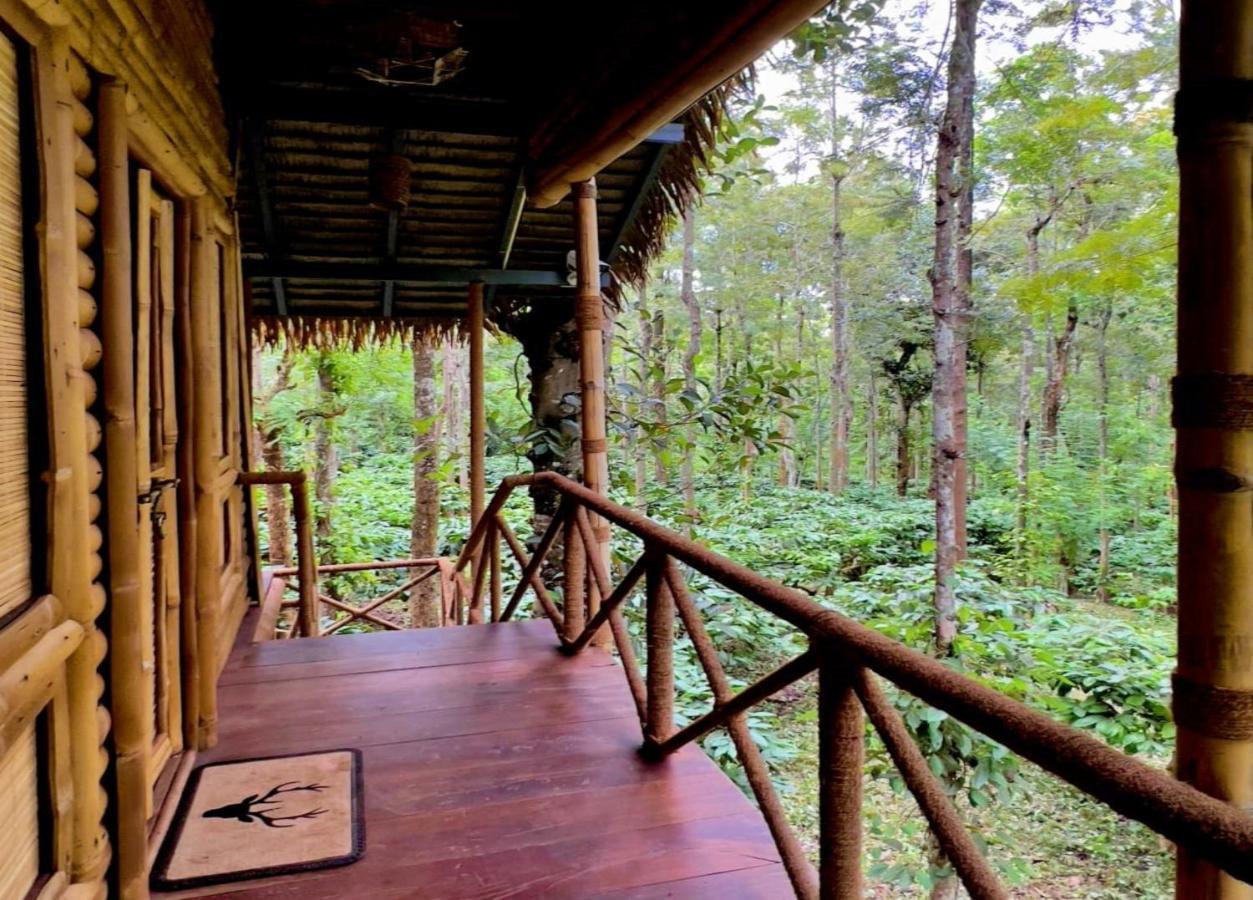 Adrak Mountain Mist Forest Resort Pulpally Buitenkant foto