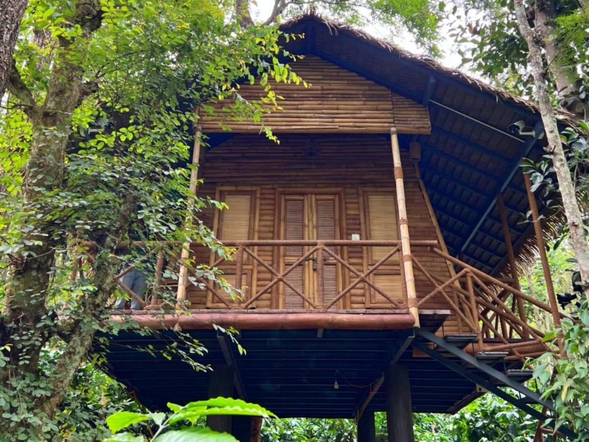 Adrak Mountain Mist Forest Resort Pulpally Buitenkant foto