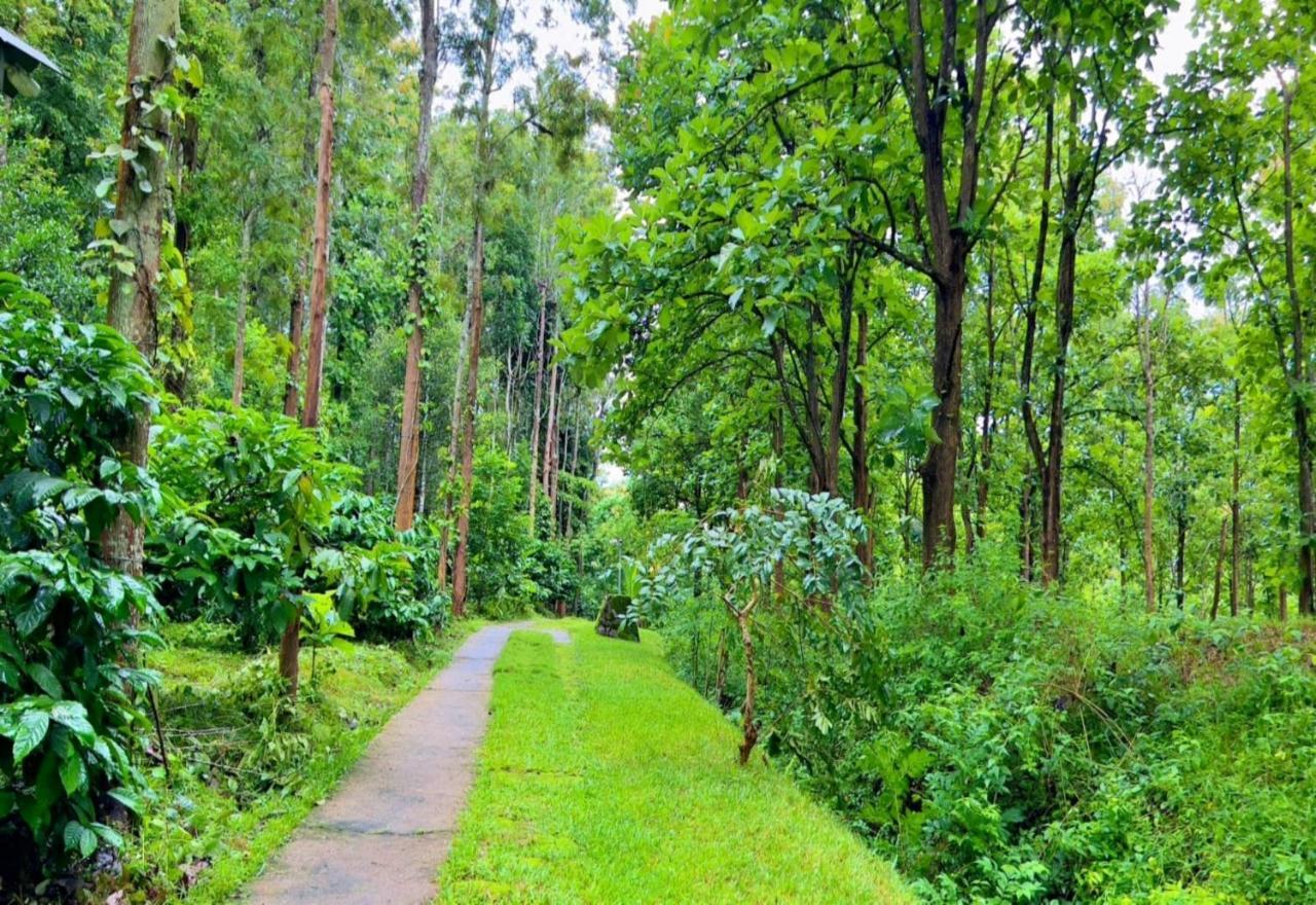 Adrak Mountain Mist Forest Resort Pulpally Buitenkant foto