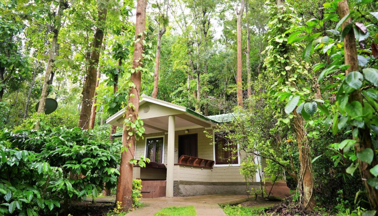 Adrak Mountain Mist Forest Resort Pulpally Buitenkant foto