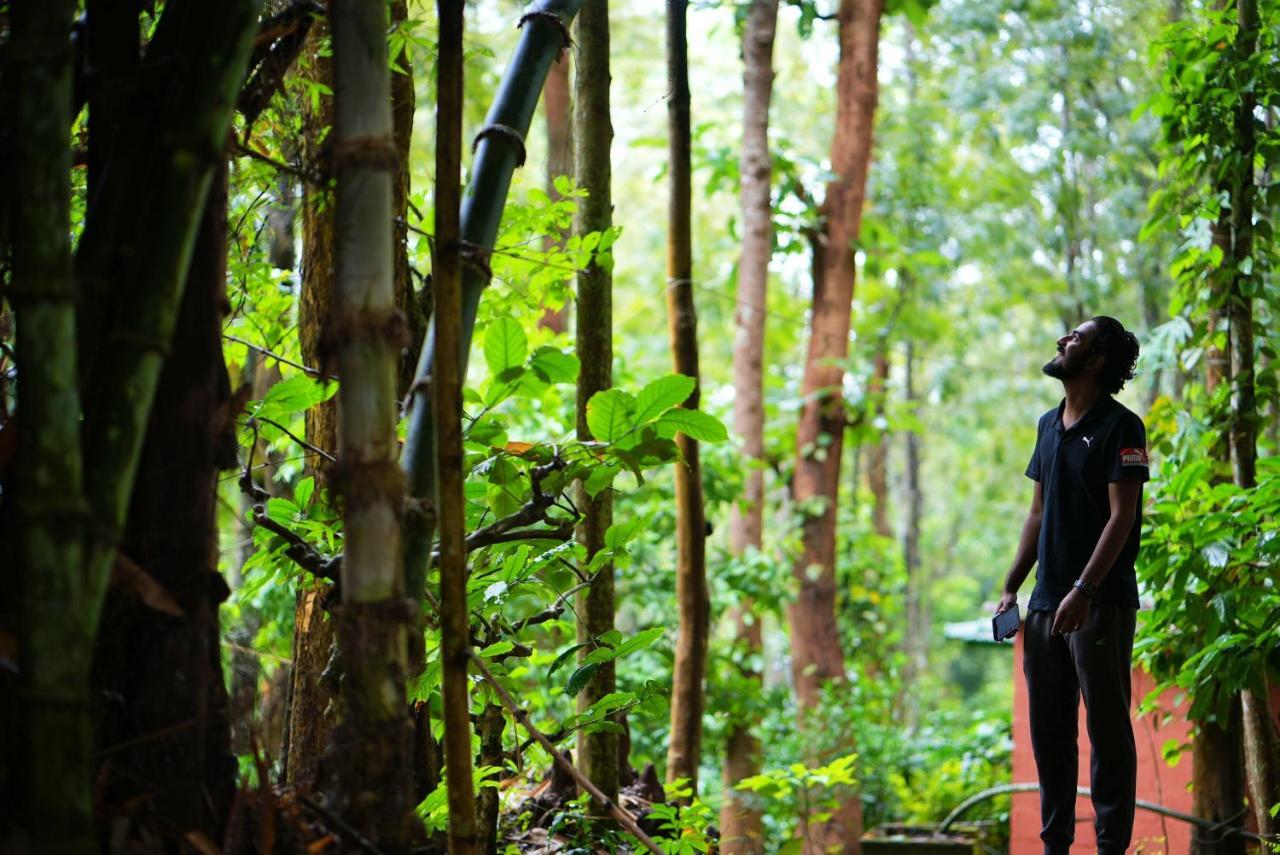 Adrak Mountain Mist Forest Resort Pulpally Buitenkant foto