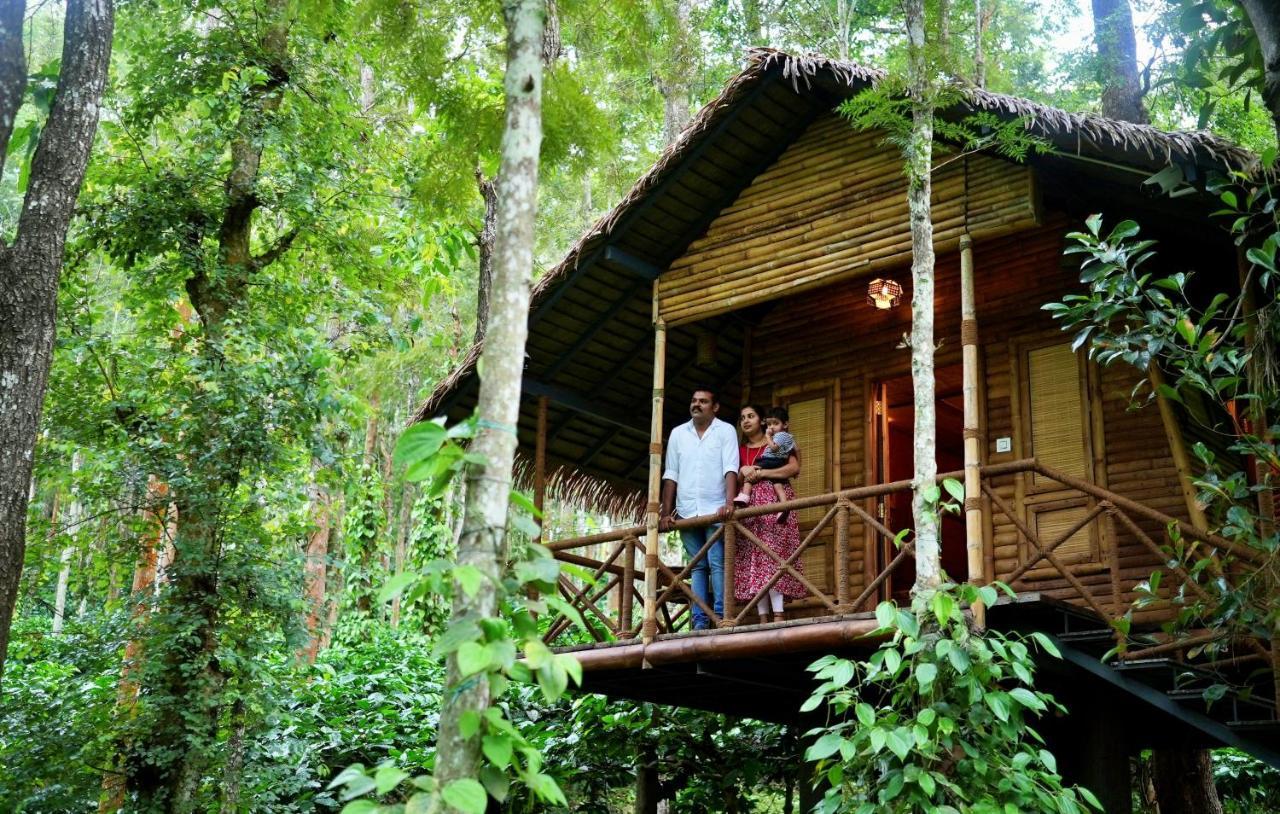 Adrak Mountain Mist Forest Resort Pulpally Buitenkant foto