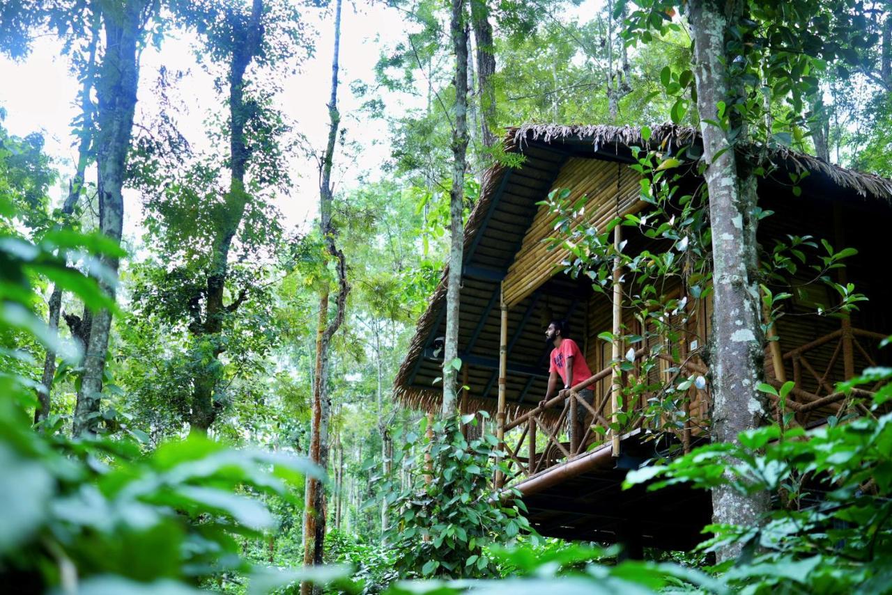 Adrak Mountain Mist Forest Resort Pulpally Buitenkant foto